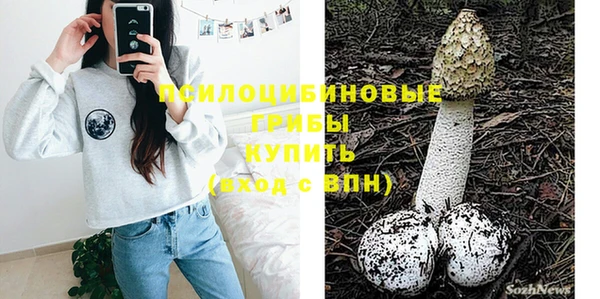 таблы Богородицк